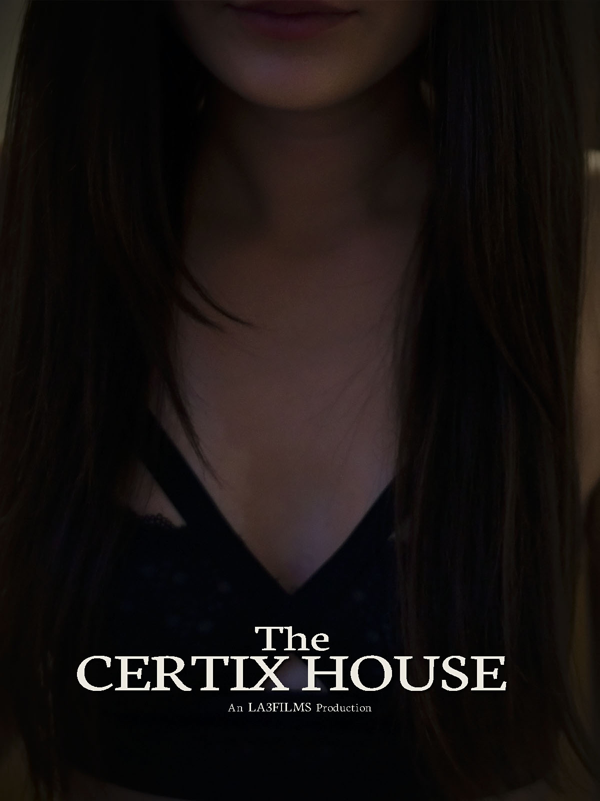 The Certix House (2020)