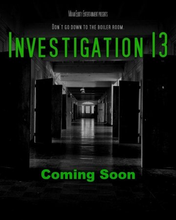 Расследование 13 (2019)