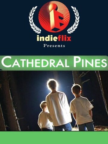 Cathedral Pines (2006)